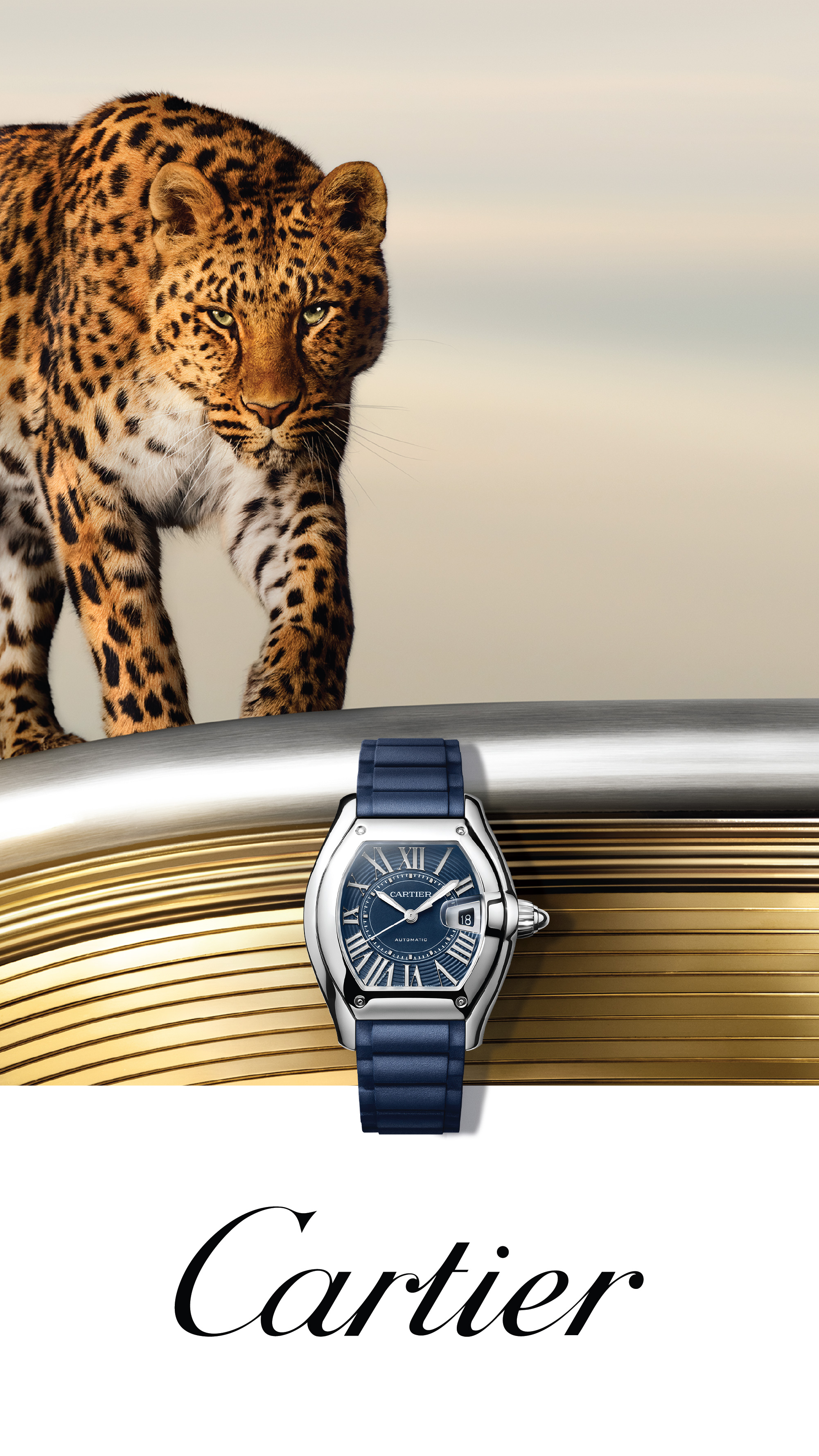 Cartier Slide