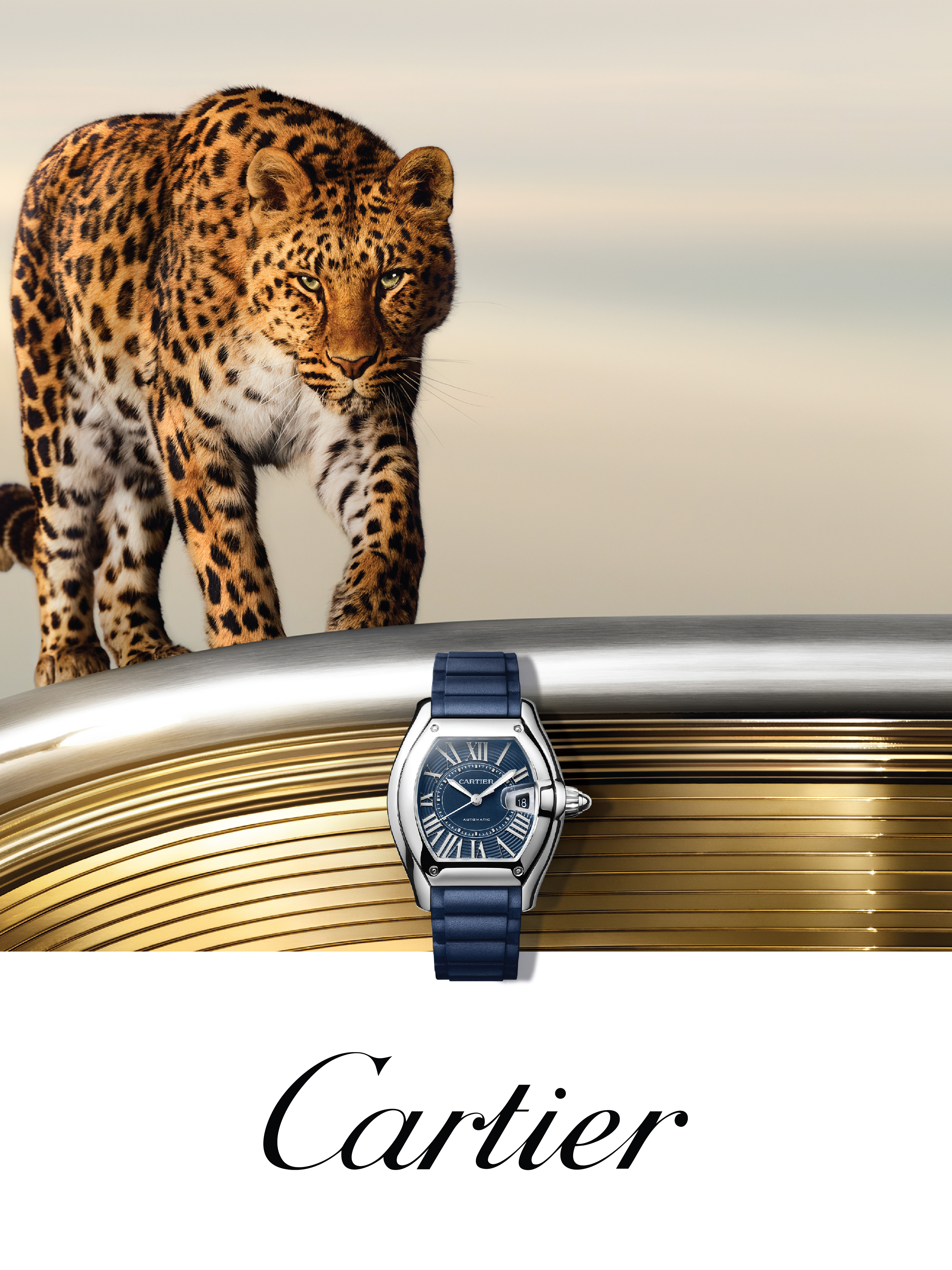 Cartier Slide