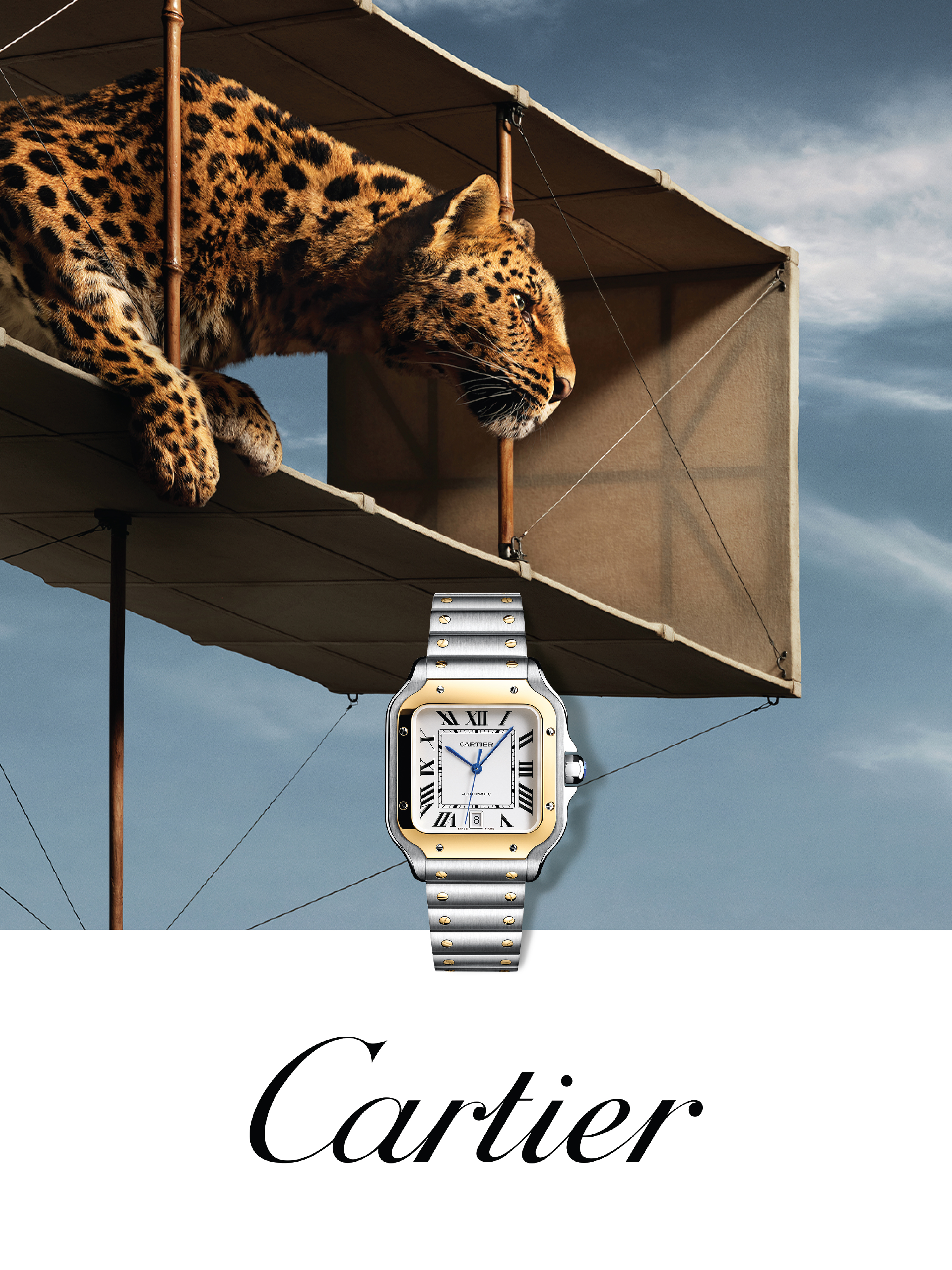 Cartier Slide